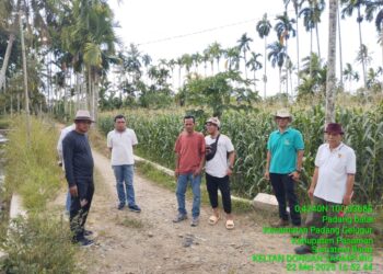 Anggota DPRD Sumbar, Khairuddin Simanjuntak Tinjau Pembangunan Jalan Usaha Tani di Pasaman