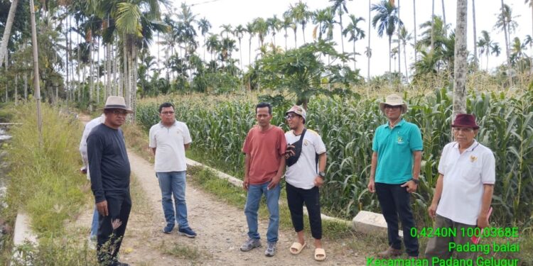 Anggota DPRD Sumbar, Khairuddin Simanjuntak Tinjau Pembangunan Jalan Usaha Tani di Pasaman