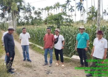 Ketua Komisi II DPRD Sumbar Tinjau Lokasi Rencana Pembangunan Jalan di Nagari Tarung-Tarung Selatan