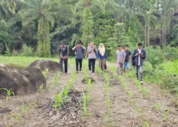 Reses Terakhir, Anggota DPRD Sumbar Ali Muda Tinjau Sungai Batang Naliak Kaciak